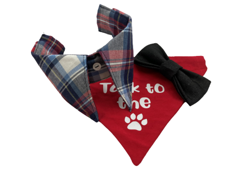 Talk to the paw Accessories - Dog collar