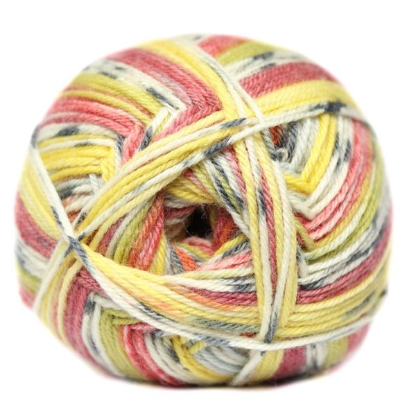 Elle Bon Voyage Socks n More Wool Pack of 5 x 100g