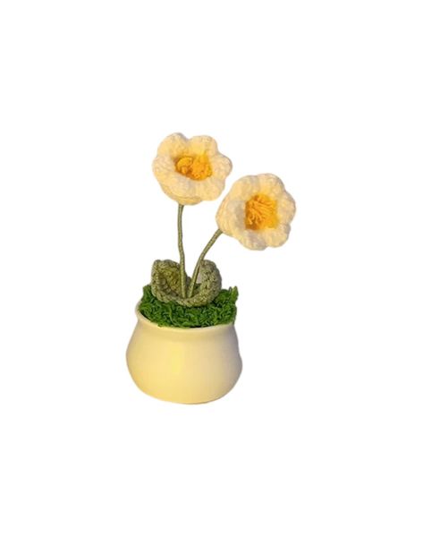Whimsical Hand-Woven Pot Plant