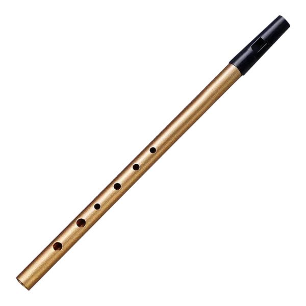 Ireland's Classical Celtic Folk Tin Whistle Key of C - Gold