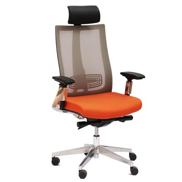 Ergonomic Multi Function Mesh Office Chair with Lumbar Support