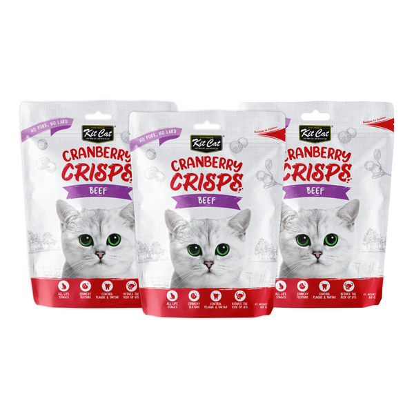 Cranberry Crisps Beef (3 x 60g)
