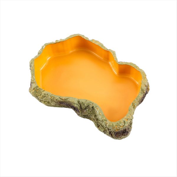 Reptile Feeding Bowls Terrarium Plate for Frog Tortoise Xs