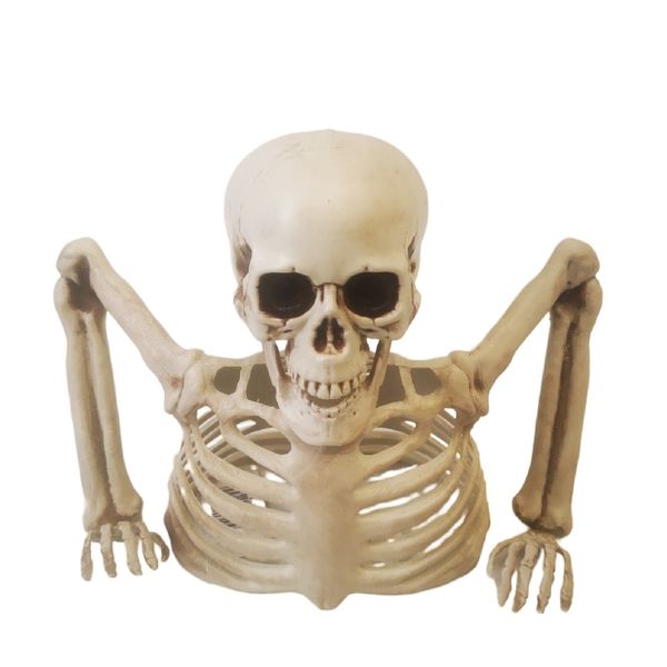 Halloween Half Skeleton Climbing Out Of Surface 24cm Wide x 20cm Tall