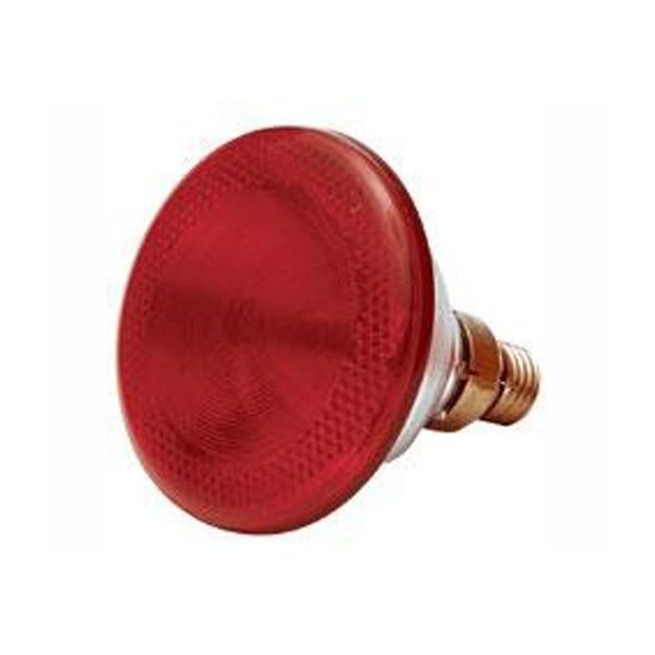 Poltek - Poultry Infra Red Lamp 175W 1/100