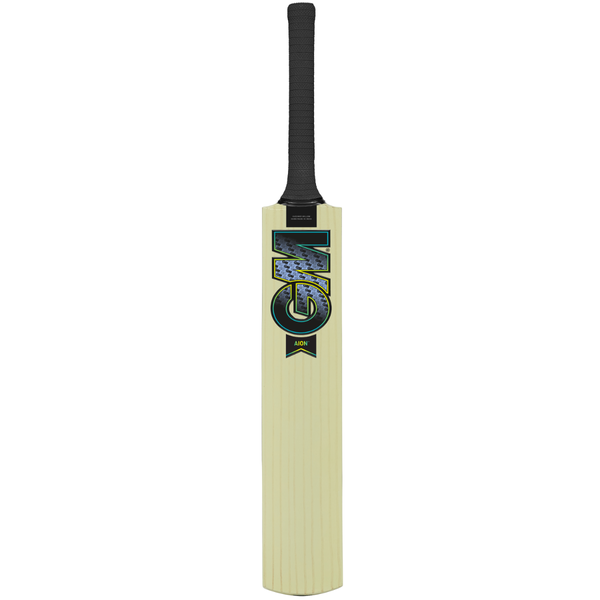 GM Aion Kashmir Willow Cricket Bat