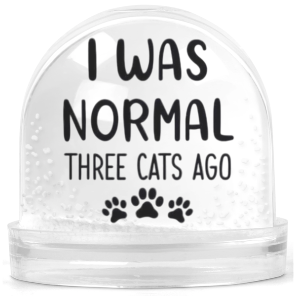 I Was Normal 3 Cats Ago Gift Snow Globe
