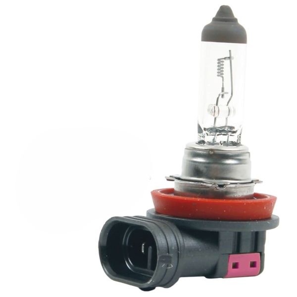 H11 Halogen Bulb - 2 Pin (70 Watt/ 24 Volt)