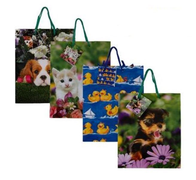 SD Homeware - Gift Bags x 4