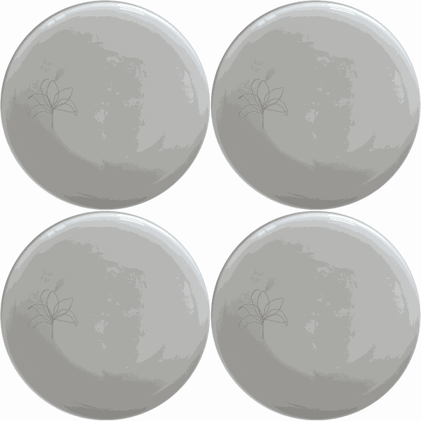 Stromanthe Triostar Dinner Plate Set of 4 - Range 1