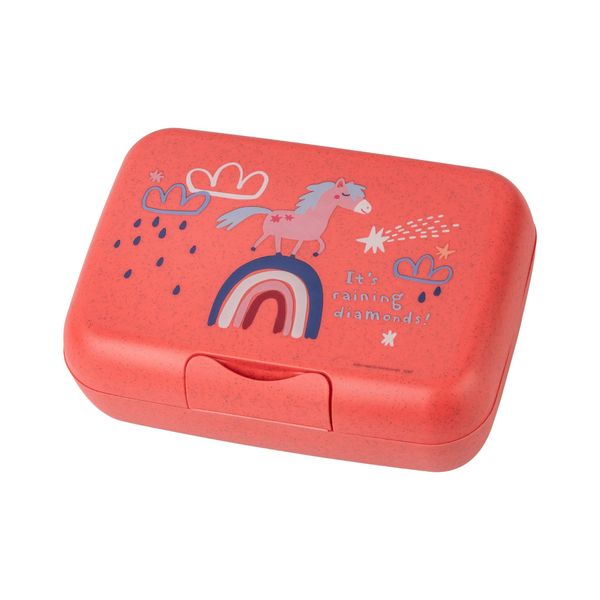 Koziol Candy Dreams Kids Lunch Box with Divider