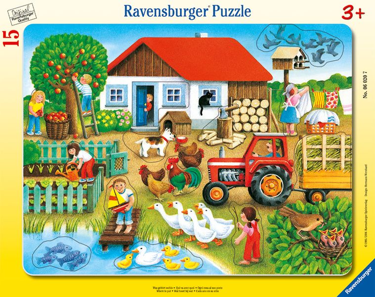 Ravensburger Frame Puzzle 15 Piece -Where To Put It