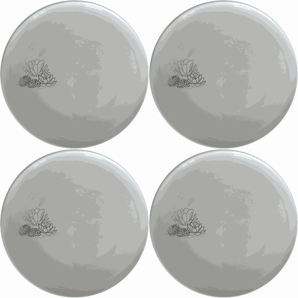 Succulent Garden Side Plate Set of 4 - Range 3