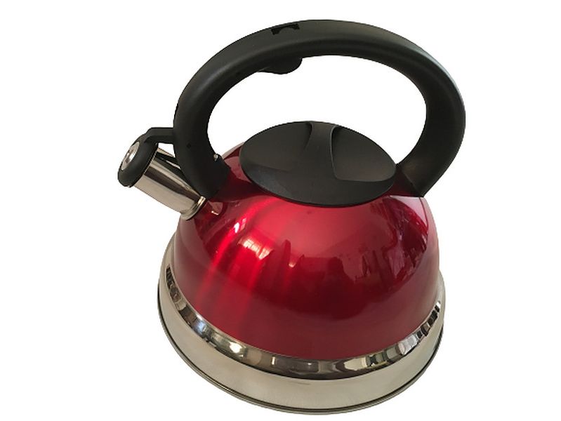 Stainless Steel Stove Top Kettle
