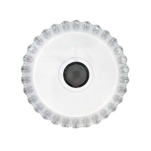 LED 48W Ceiling Pendant Light