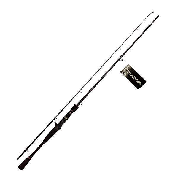 Daiwa Fishing Rod Laguna LAG662 MHB-AZ