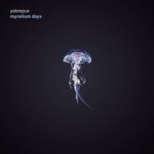 Mycelium Days (Vinyl / 12" Album)