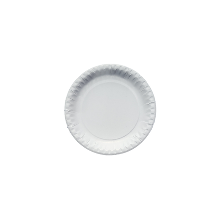 Plain white 2024 paper plates