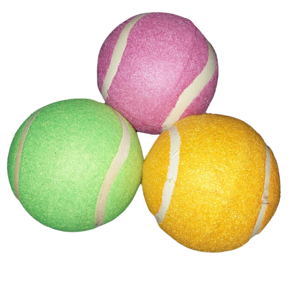 Century Practice Cricket Balls