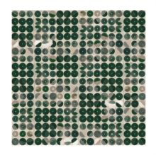 Evolutionary Cycles (Vinyl / 12" Album Coloured Vinyl (Limited Edition))