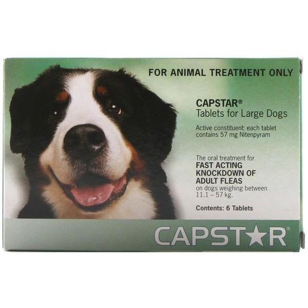 Capstar dewormer best sale