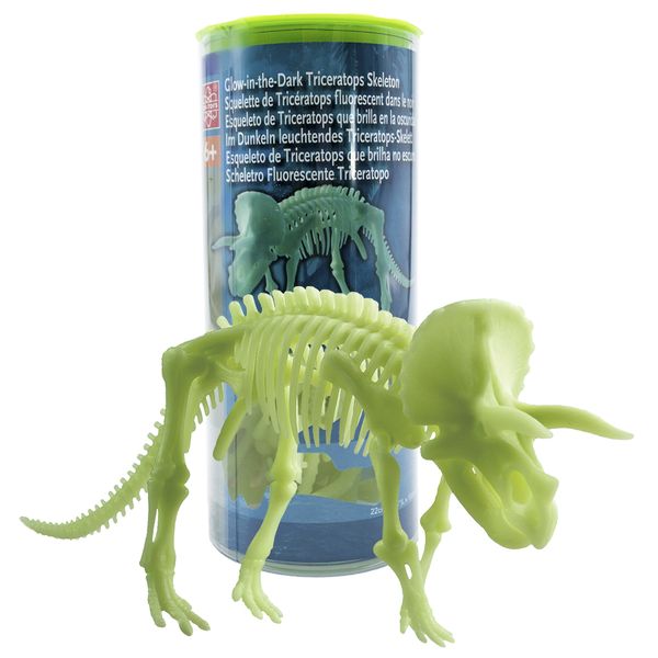 Edu-Science Glow-in-the-Dark Triceratops Skeleton: 22cm x 10cm