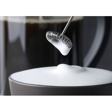 Electric Mini Mixer Stainless Steel Battery Operated Frother-AB-J302, Shop  Today. Get it Tomorrow!