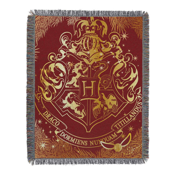 Harry Potter Academy Tapestry H016-29
