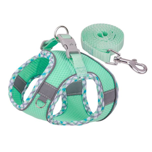 ALANES Lightweight Mesh Small Dog Harness and Leash Set
