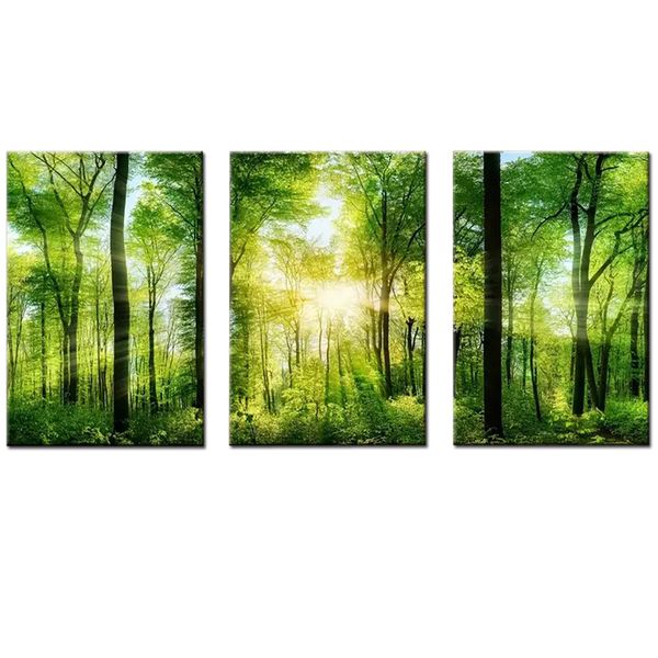 Canvas-Art-3 Pieces Green Forest With Sun Rays Wall Art