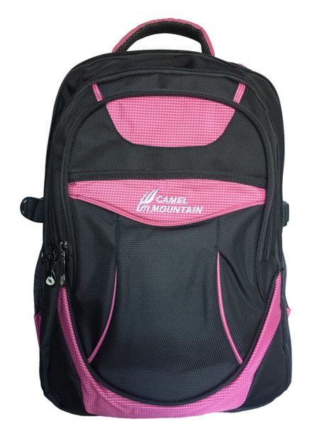 Camel Mountain Laptop bag - pink