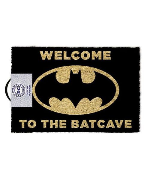Welcome to the Batcave