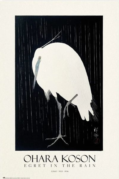 Egret in the Rain Poster