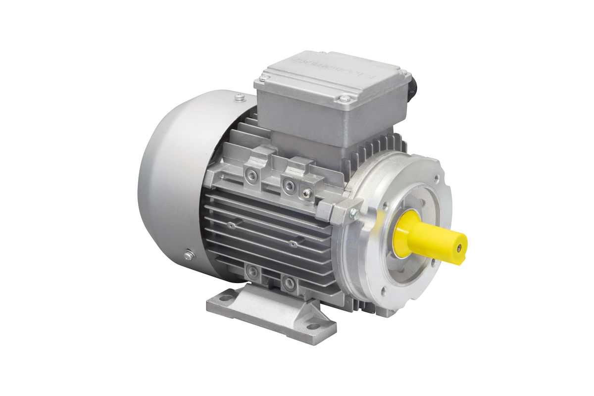 Three Phase Electric Motor Shop Today. Get it Tomorrow!