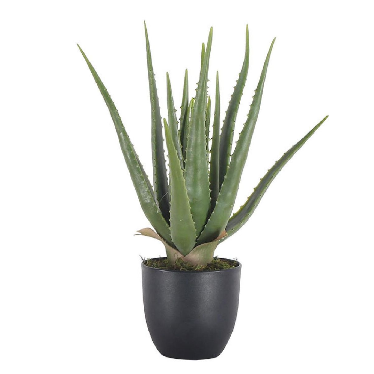 Artificial Aloe Vera Plant 70cm Buy Online In South Africa 4551