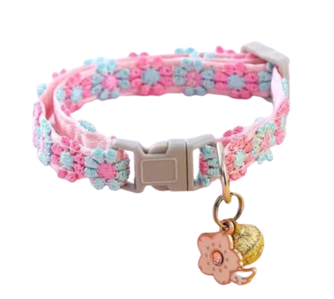 Pet collar embroidered rainbow lace