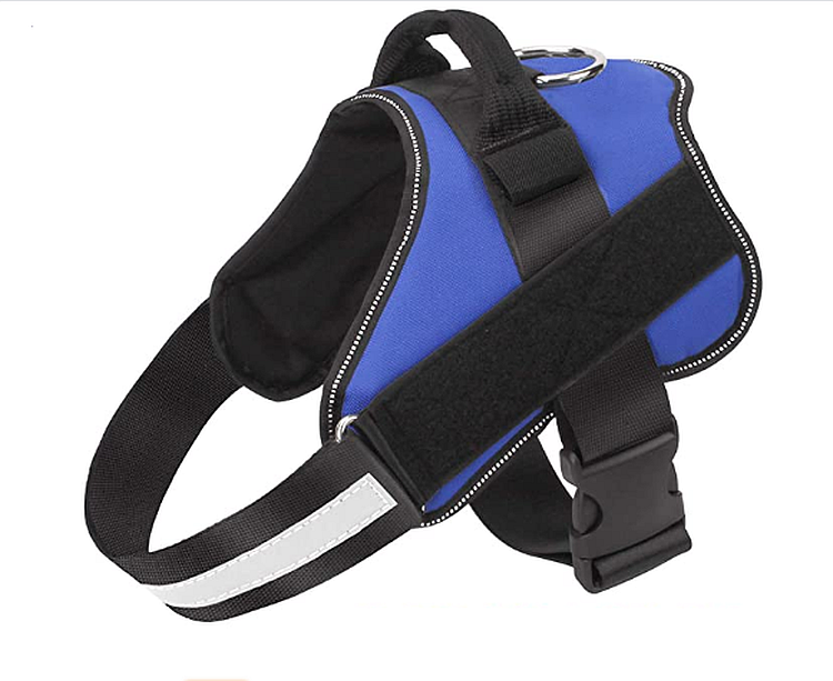 Dog Harness Buy Online in South Africa
