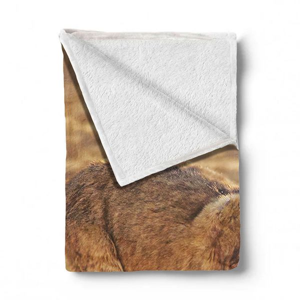 Lion Cubs Playing Early Morning Light Weight Fleece Blanket By Fanie Heymans