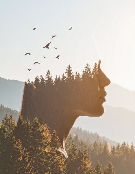 Calm Face Forest image