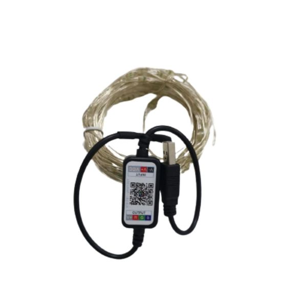 USB Smart LED App Control Copper String Lights