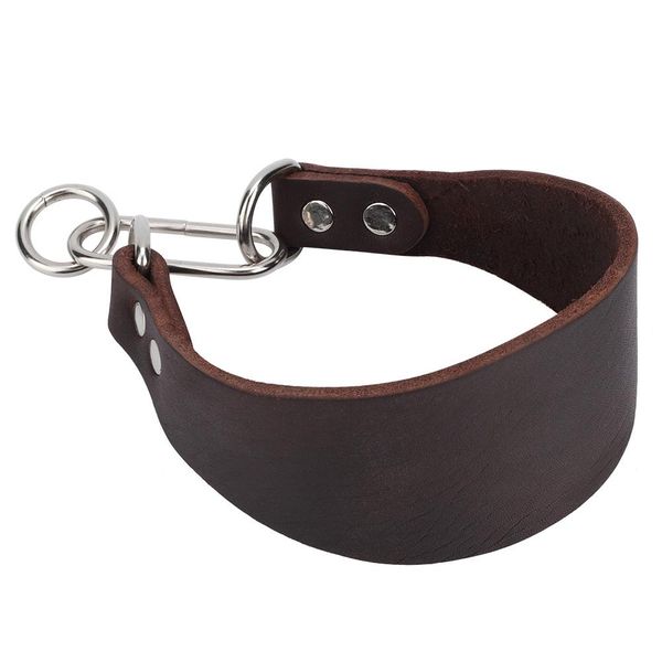 Widen Dog Collar Compatible with Small Greyhound Whippet Brown