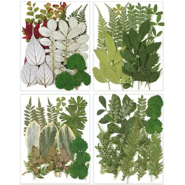 84pcs Dried Pressed Leaves and Flowers Kit