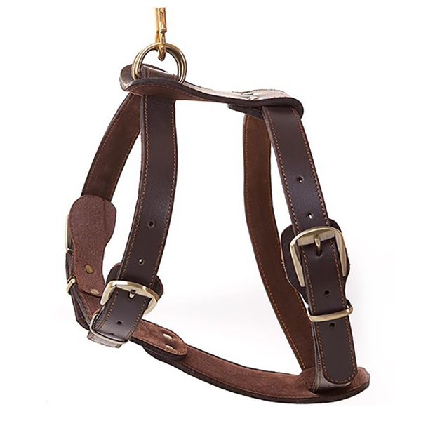 Premium Full-Grain Leather Vest-Style Harness for Medium to Large Dogs