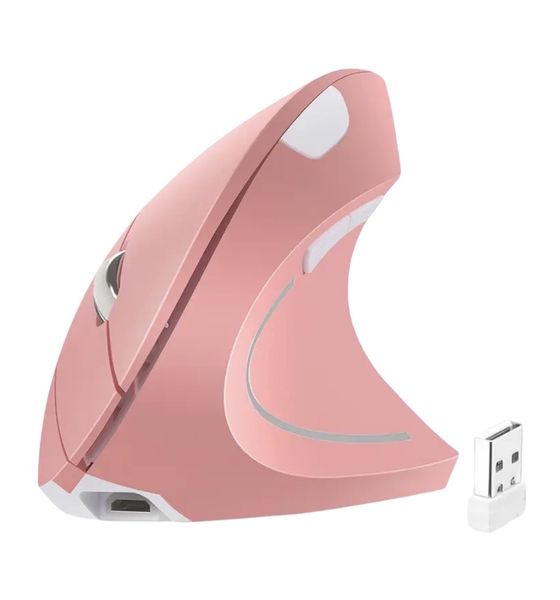 ErgoTech Rechargeable Wireless Optical Mouse