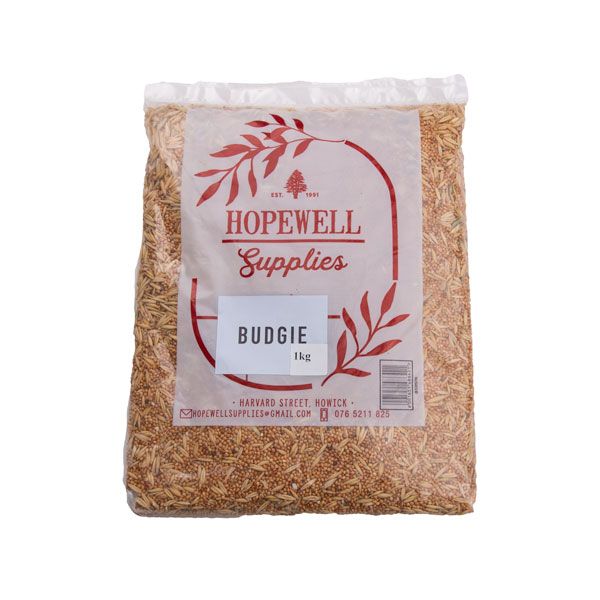 Budgie Bird Seed