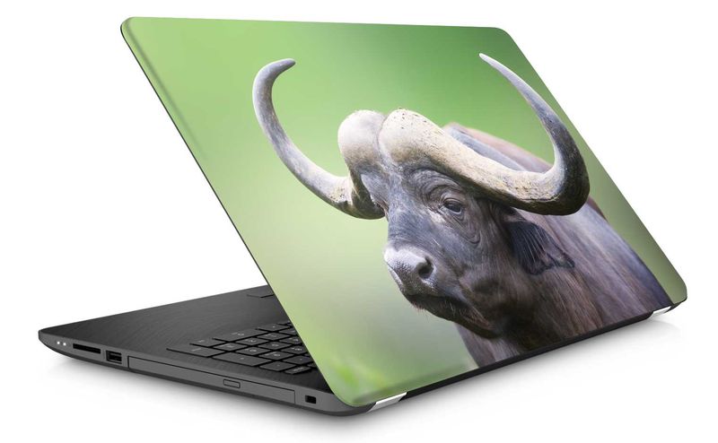 Laptop Skin Buffalo