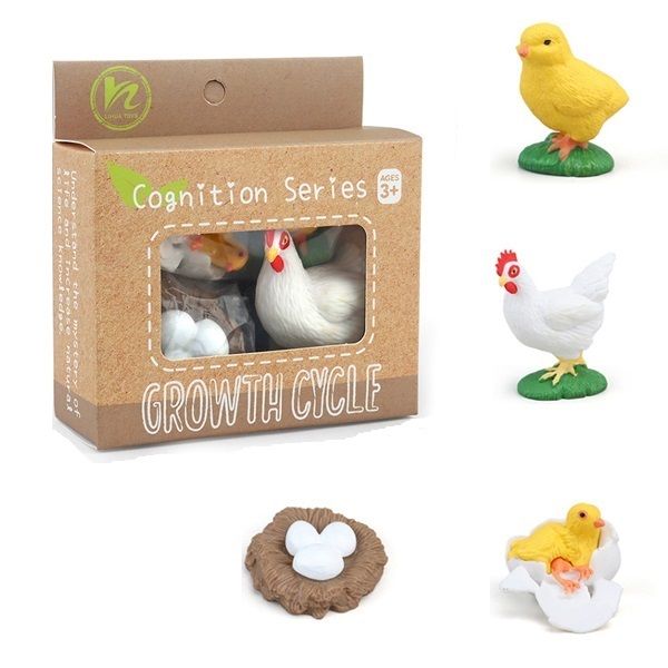 Montessori Life Cycle Toy - Educational STEM - Chicken Growth Cycles