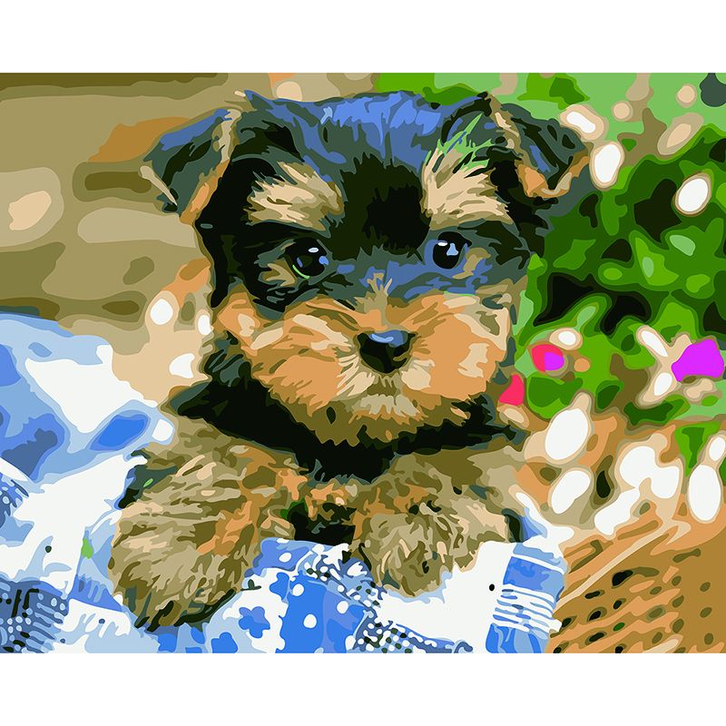 Paint by Numbers for Adults Yorkie Boy Buy Online in South Africa