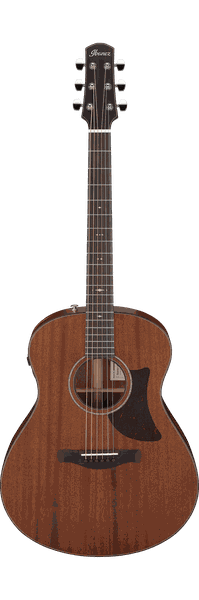 Ibanez AAM740E-LG Advanced Acoustic-Electric Guitar w/ Hardshell Case