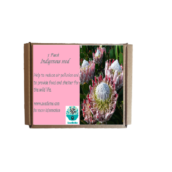 Indigenous Seed Box from SeedleMe